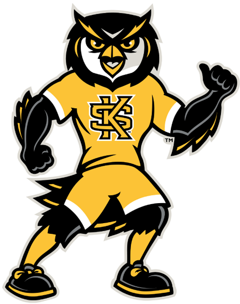 Kennesaw State Owls 2012-Pres Mascot Logo diy fabric transfer